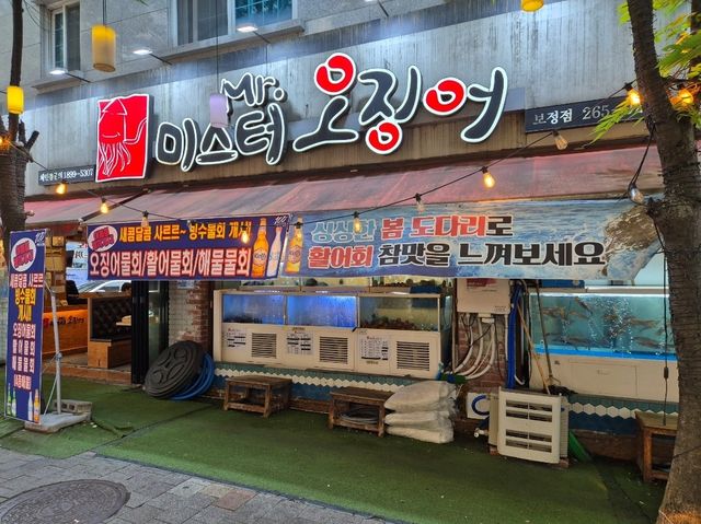 보정동 카페거리 미스터오징어