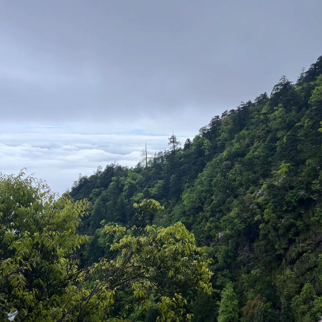 矢倉岳：壯闊山河景緻