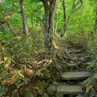 「春天踏青必去！象山步道，山谷城市景色一覽無遺！」