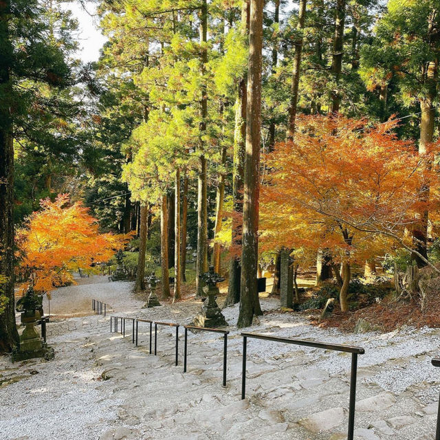 【福岡観光】福岡県添田町にある県内唯一の神宮