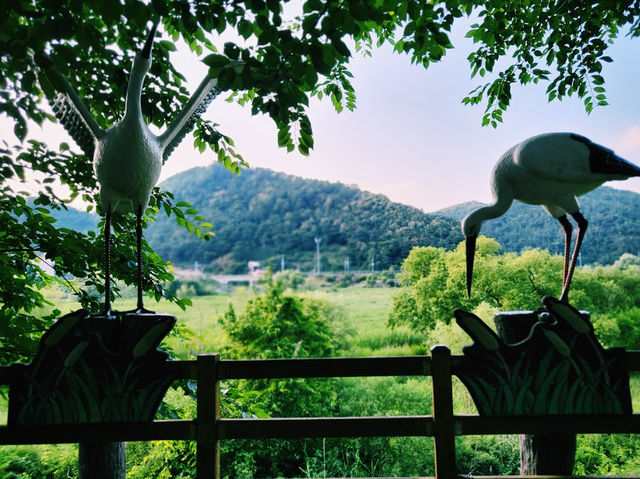 Hwapocheon wetland ecological park