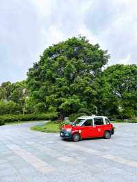 Discovering Peace and Tranquility at Tsz Shan Monastery in Hong Kong