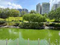 Punggol Waterway Park