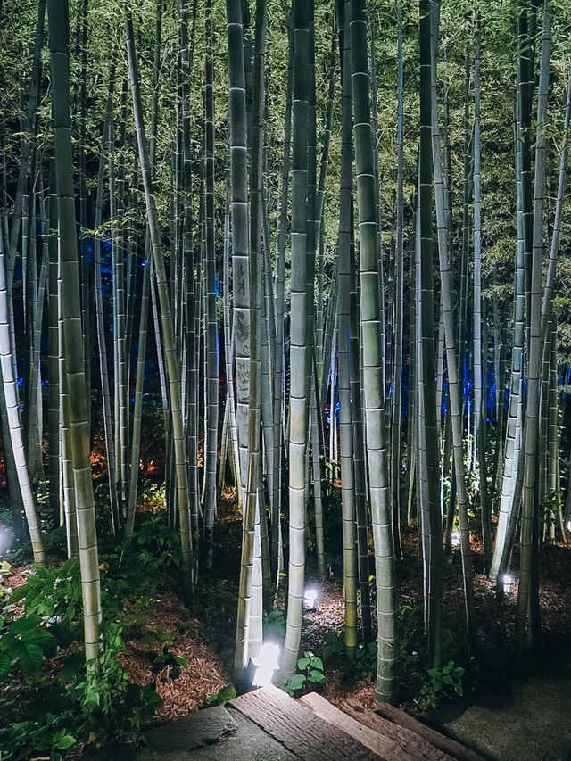ここ知ってる？？【死ぬまでに見たい絶景】男鹿の紫陽花寺　雲昌寺🫧🫧