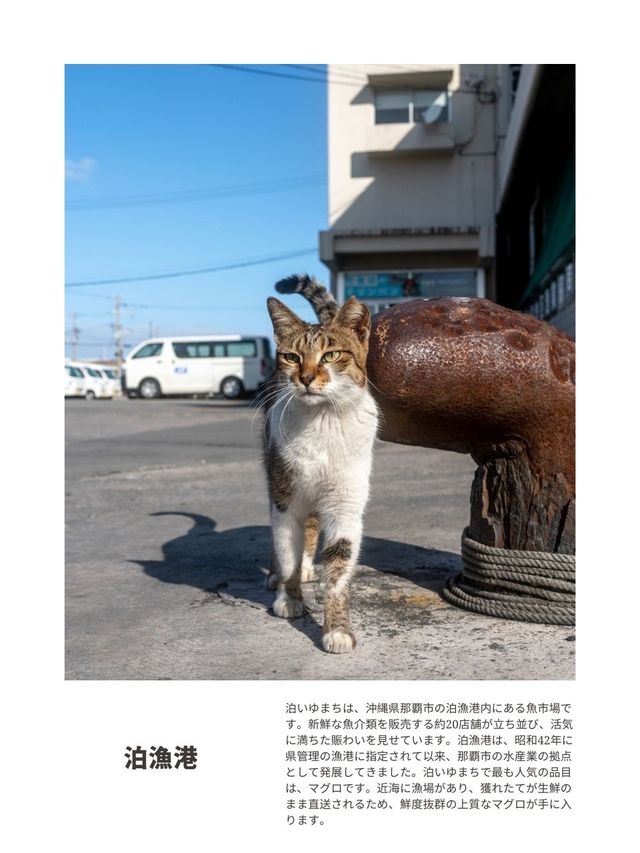 【沖縄】修学旅行ぶりの那覇旅行！おすすめ写真スポット5選！＃039