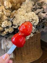【福岡カフェ】四季折々のフルーツが楽しめるパフェ専門店
