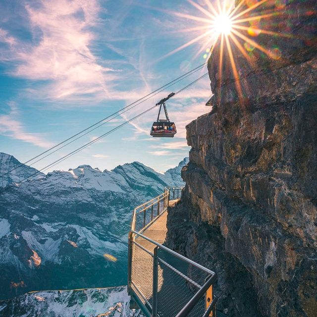 Thrill Walk