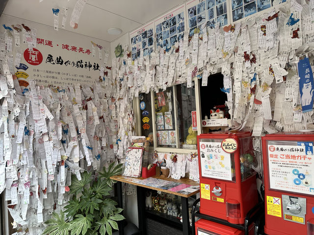 長崎市銀屋町。『長崎尾曲がり猫神社』