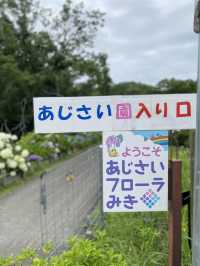 【三木】2024年あじさいフローラみき（入口→ビオトープ）