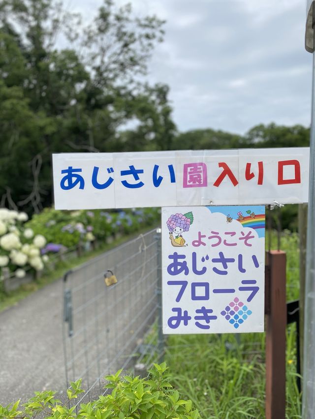 【三木】2024年あじさいフローラみき（入口→ビオトープ）