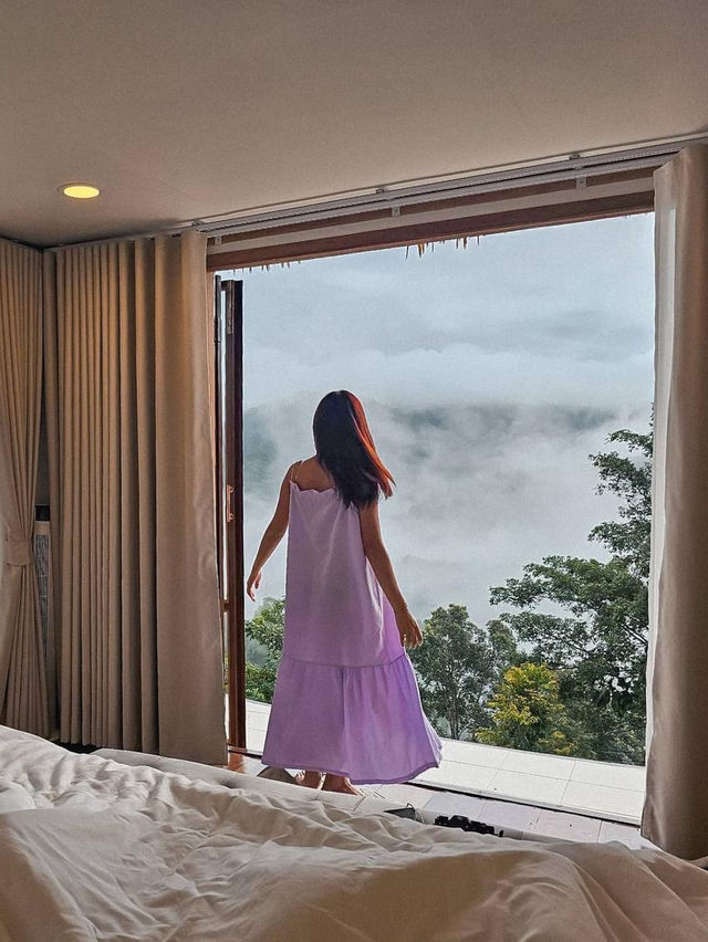 Misty Forest 🌳บ้านป่าหมอก ที่พักท่ามกลางสายหมอก 