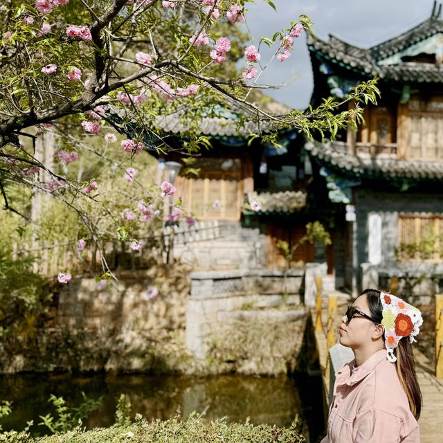 Discover the Magic of Lijiang's Black Dragon Pool