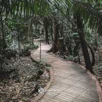 หุบป่าตาด