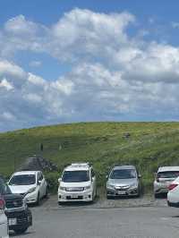 【長野県/諏訪市　夏でも涼しい霧ヶ峰に咲く黄色い花”ニッコウキスゲ”】
