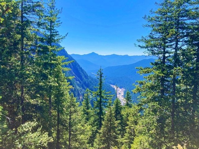 👣 Visit Mt Rainier National Park