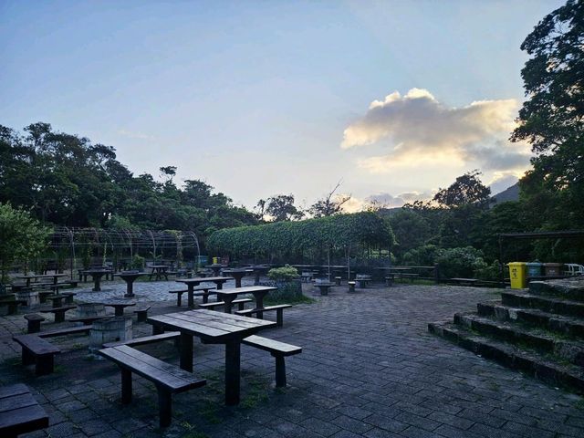 西貢區人氣最高的郊野公園