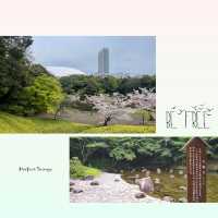 東京後樂園美麗日式庭園