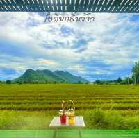 คาเฟ่วิววัดถ้ำเสือ