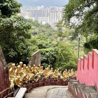 Explore the Unique Ten Thousand Buddhas Monastery