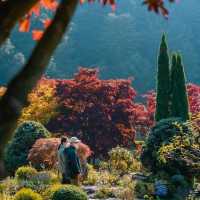 Uncover Seoul's Hidden Beauty 🇰🇷🌿
