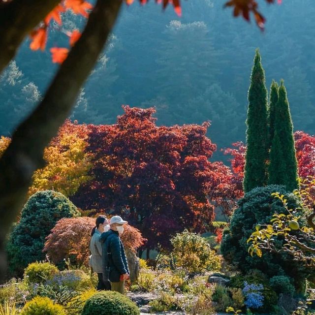 Uncover Seoul's Hidden Beauty 🇰🇷🌿