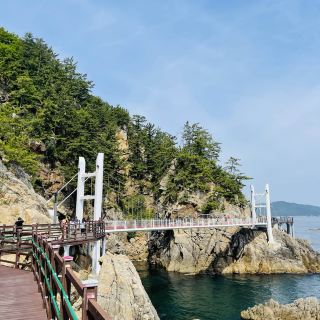在涼爽的東海度過夏天！