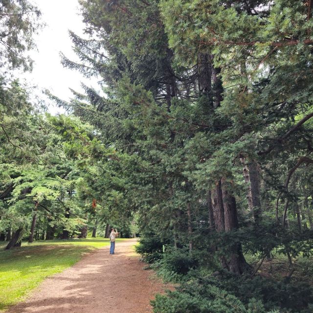 일본여행 홋카이도대학 식물원 北海道大学 植物園