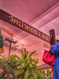 วัดป่าคลอง ๑๑ 🙏 