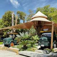 คาเฟ่ ฉะเชิงเทรา ฟิวเขาใหญ่ 