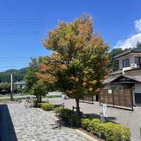 【長野県/下諏訪　諏訪大社 下社 春宮近くにある御柱祭の資料館】