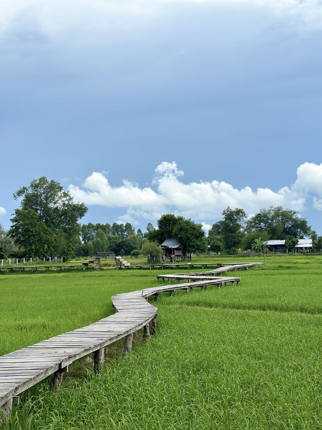 พิกัดลับใบเสมาโบราณ กลางทุ่งนา เต่างอย สกลนคร