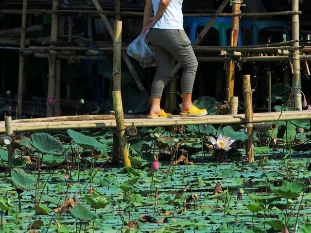 วันเดย์ทริป เที่ยวสุพรรณบุรี