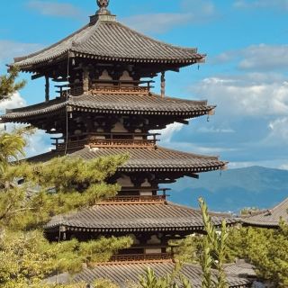 Oldest Wooden Structure on Earth - Horyu Ji