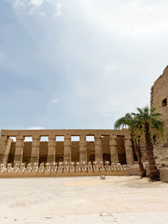 埃及Luxor｜古埃及上最大的神廟🇪🇬