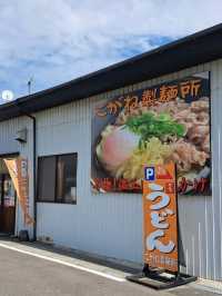 【こがね製麺所 多度津店:香川県多度津町】地元に愛されるコシのある香川のうどん屋さん🍜