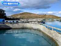 紐西蘭南島-清澈湛藍的藍色牛奶湖：蒂卡波湖
