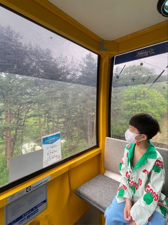 케이블카를 타고 정상에 올라가면!