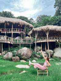 🌿Stay Wild & Café ที่พักและคาเฟ่ริมลำธารเชียงใหม่