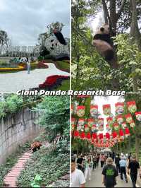 Best Things To Do in Chengdu, China 🇨🇳🐼