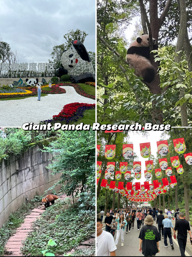 Best Things To Do in Chengdu, China 🇨🇳🐼