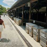 Kyoto Nijo Castle UNESCO World Heritage Site