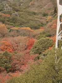 日本三大溪谷的紅葉纜車