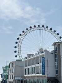 속초아이 대관람차🎡 타고 65m 상공에서 내려다보는 속초
