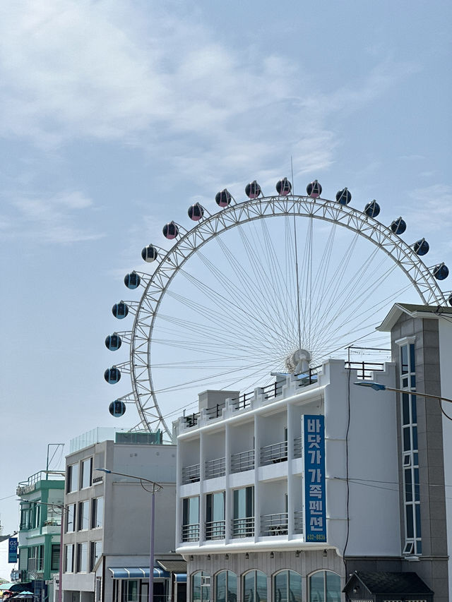 속초아이 대관람차🎡 타고 65m 상공에서 내려다보는 속초