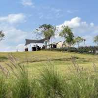 ลานกางเต๊นท์3060