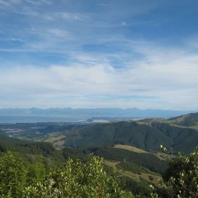 "Abel Tasman National Park: New Zealand’s Coastal Paradise for Adventure and Relaxation"