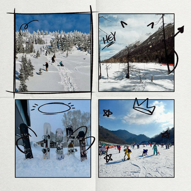 🏂❄️⛷️新雪谷滑雪場🎠冬季運動愛好者的天堂🏂❄️⛷️