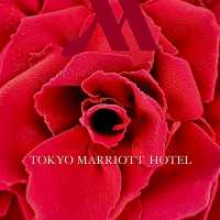 【東京 】東京マリオットホテル🏨  【Christmas Cake & Bread 2024】