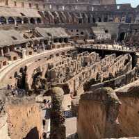 Echoes of Glory: The Colosseum's Timeless Splendor