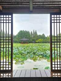 전주 덕진공원 데이트